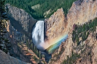 Yellowstone Falls (Lower)