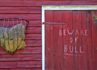 Beware of Bull
